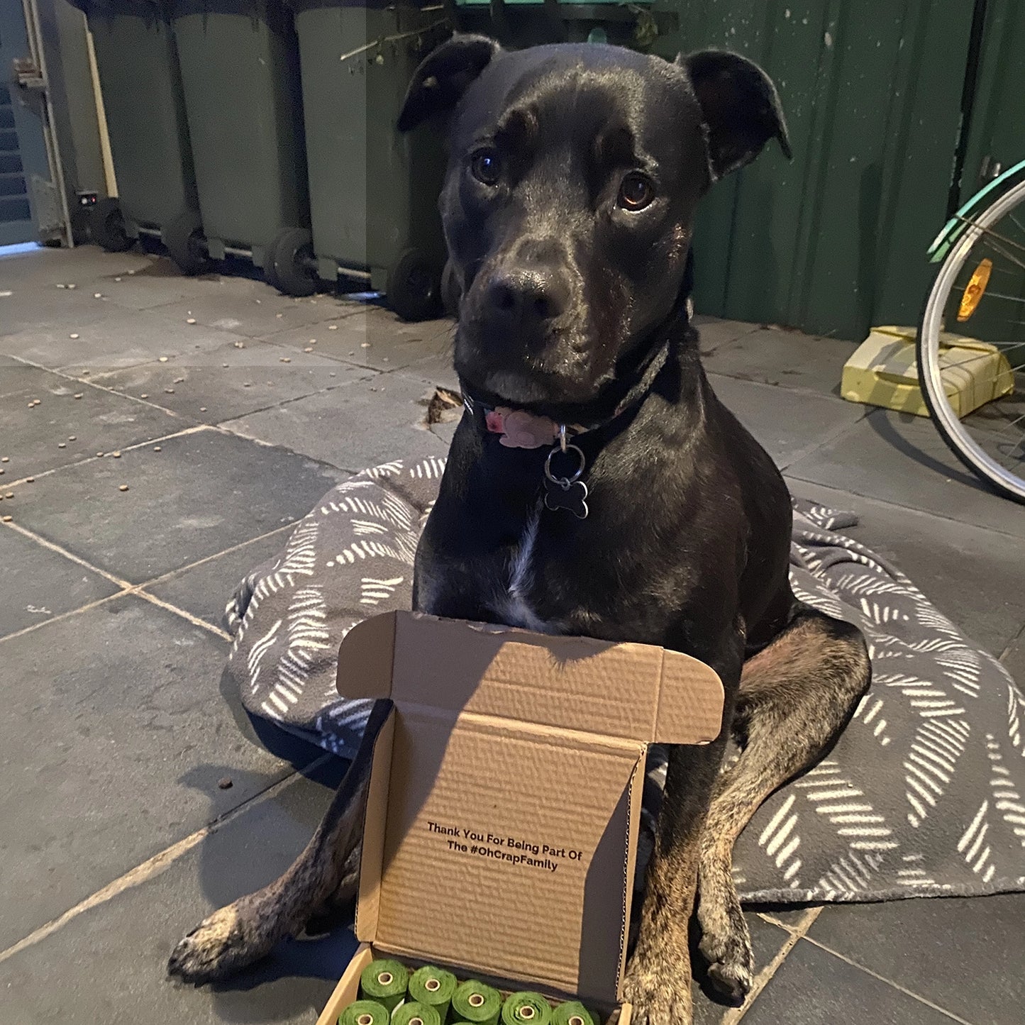 Picture of Emma F's Dog with Oh Crap Dog Poop Bags