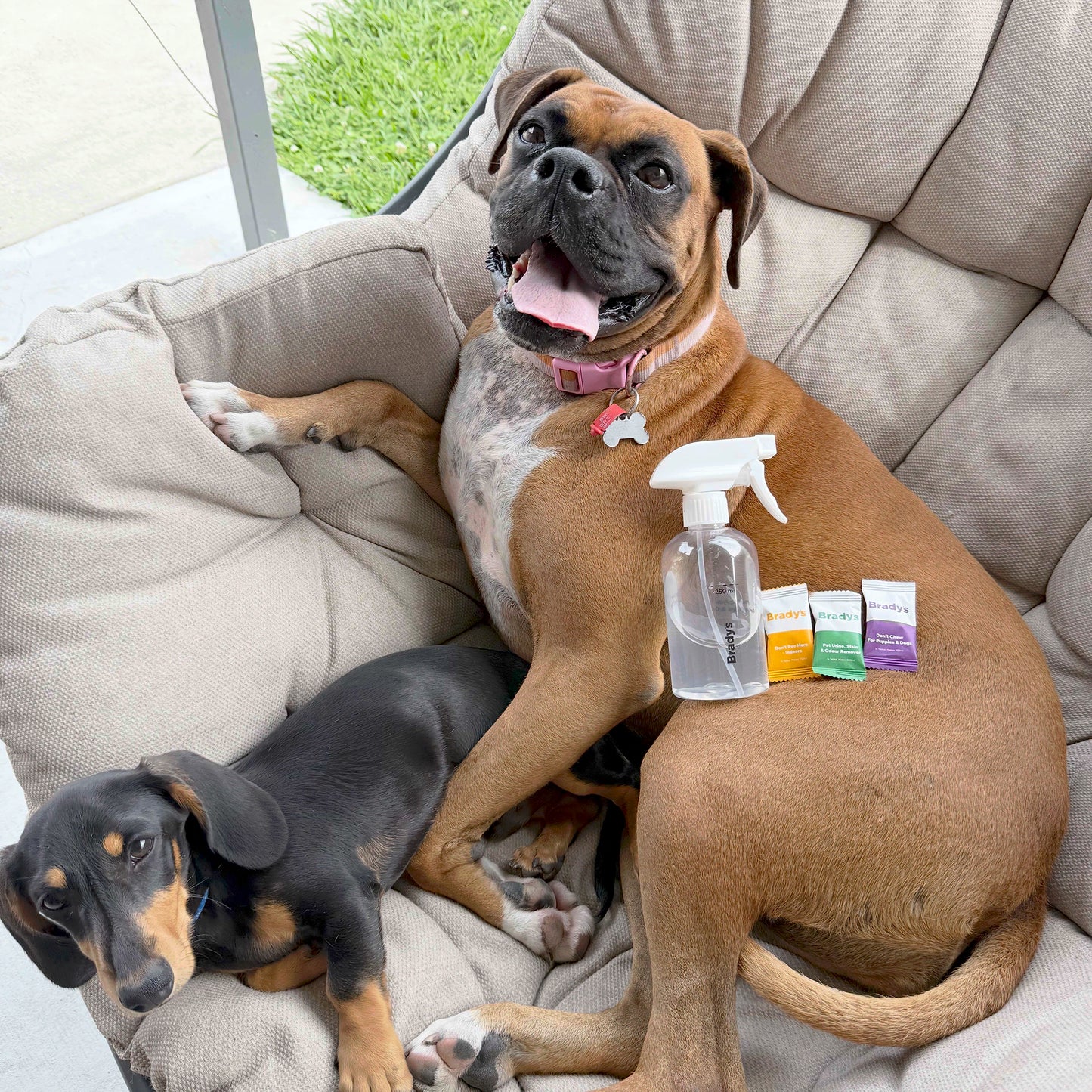 Brady's Pet Urine, Stain & Odour Remover