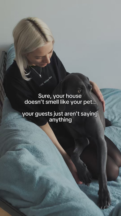 Image video